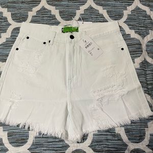 NWT. Free People SR Vs. Sandrine Rose The Virgin Label 28 waist, shorts